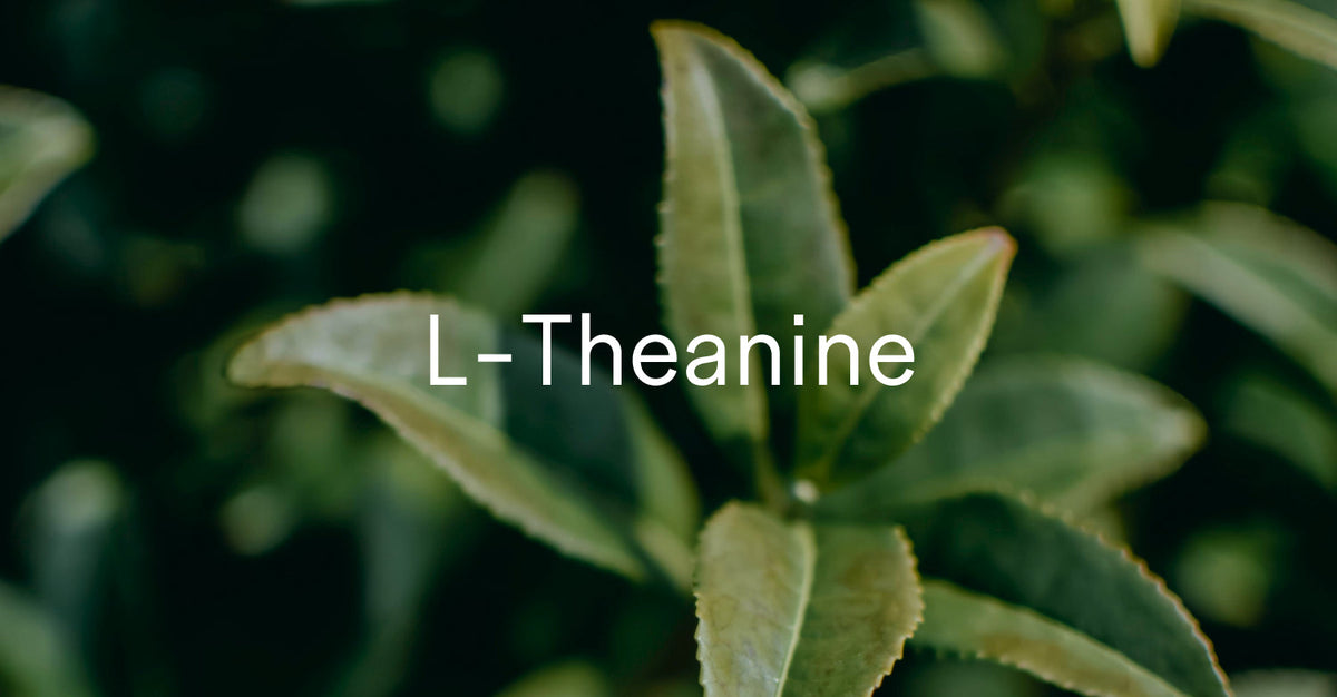 A close-up shot of green tea leaves with the text