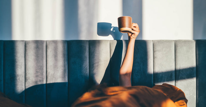 A person's arm reaching up from under covers, holding a coffee mug towards a sunlit wall.