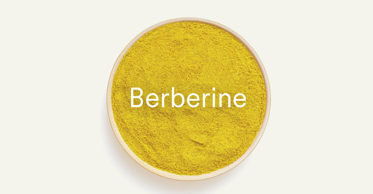 Yellow Berberine powder in a round bowl.