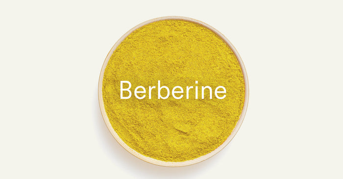 Yellow Berberine powder in a round bowl.