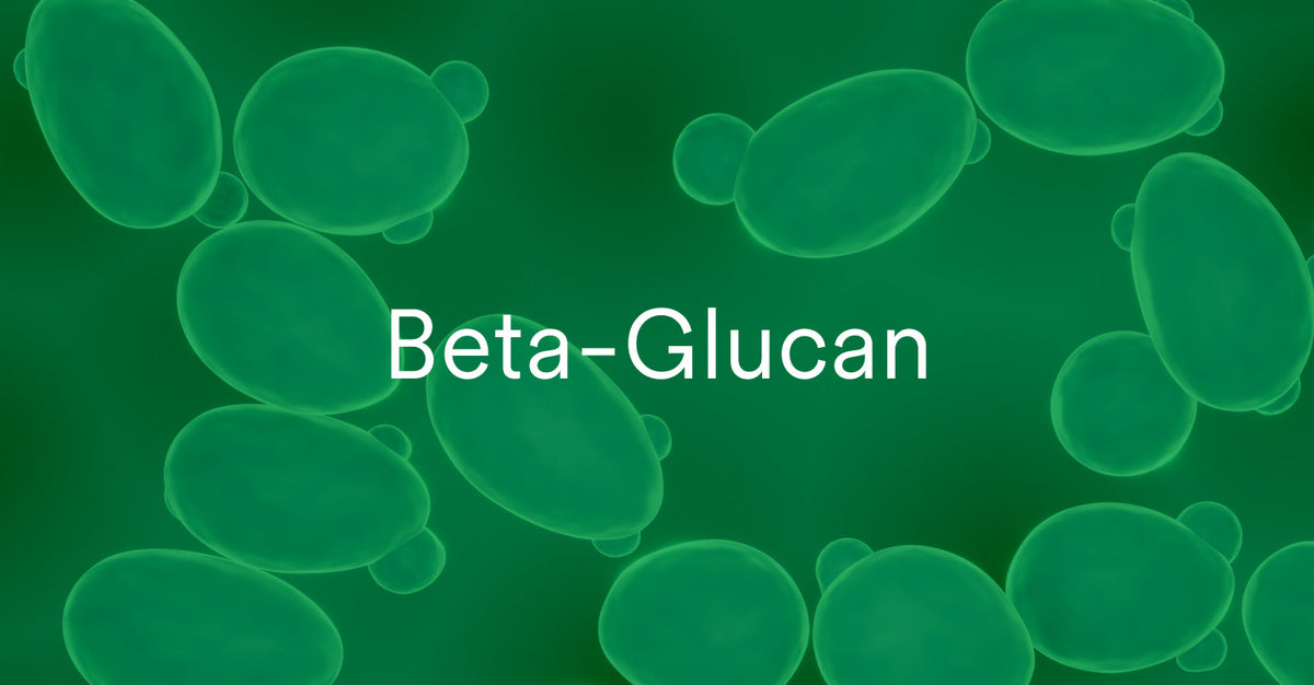 Microscopic view of yeast cells, representing Beta-Glucan, a natural compound known for its immune-boosting properties.