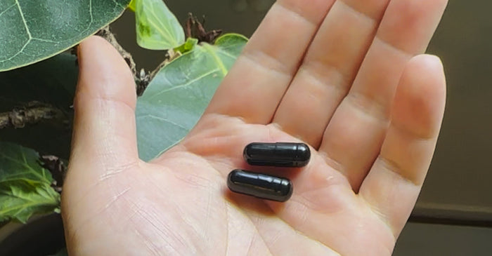 A close-up of an open hand holding two glossy black capsules, with large green plant leaves in the background.