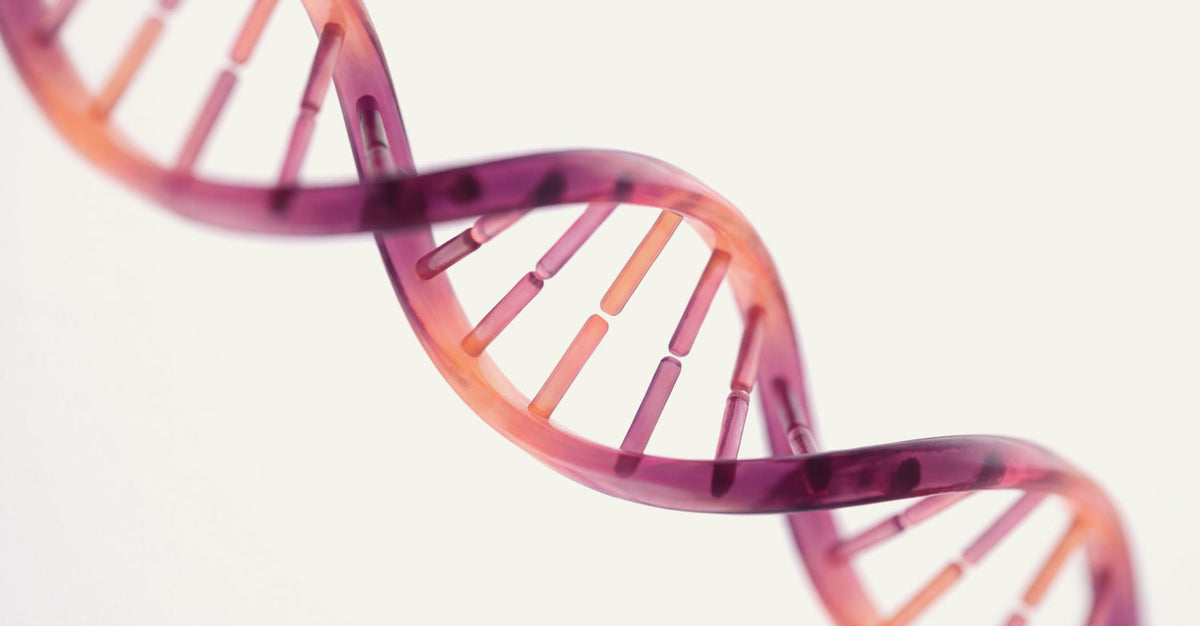 Close-up macro photo of a pink and orange DNA double helix strand against a light background.
