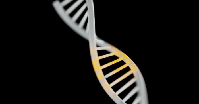 A close-up, out-of-focus shot of a white DNA double helix model with a portion highlighted in yellow against a black background.
