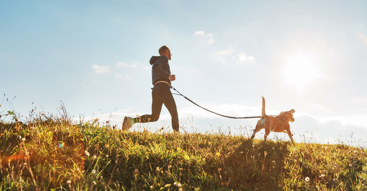 A person jogging uphill while walking a dog on a leash in an open grassy field under a bright sky.