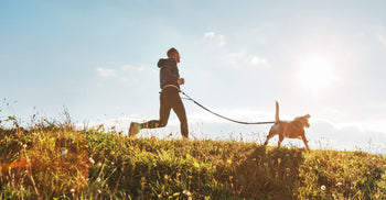 A person jogging uphill while walking a dog on a leash in an open grassy field under a bright sky.