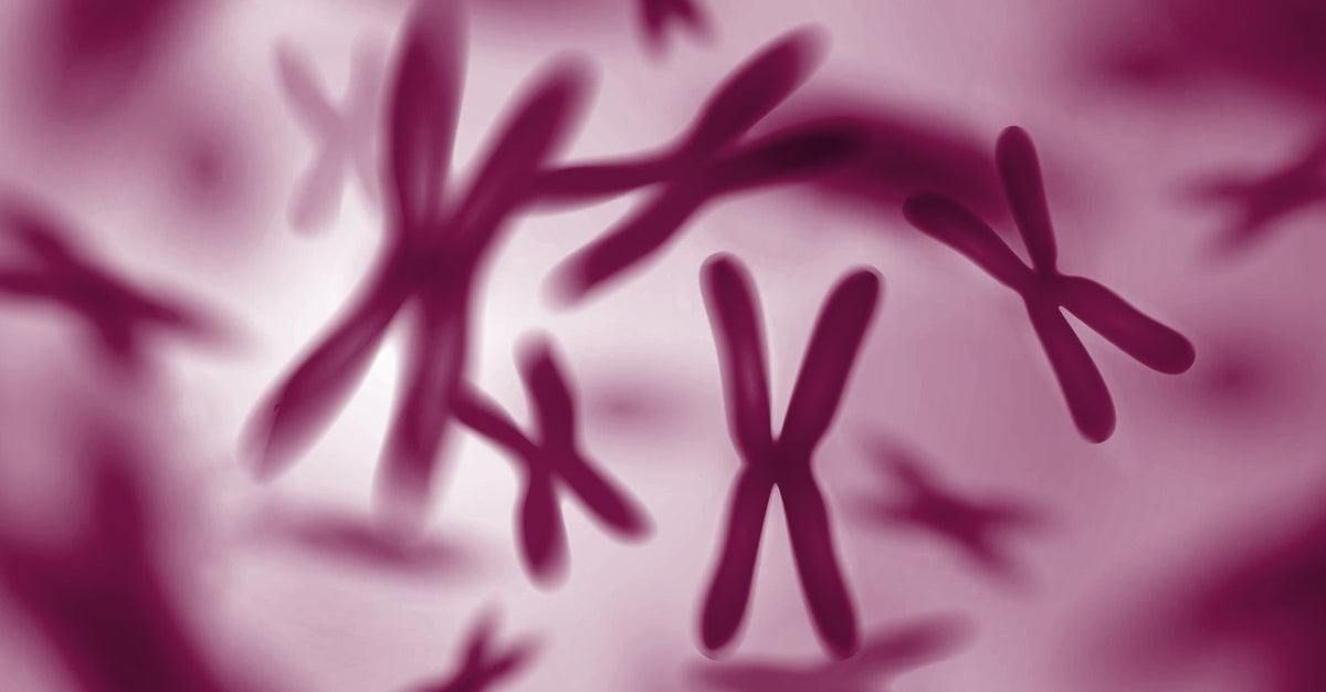 Abstract, blurred illustration of multiple chromosomes in shades of purple and pink against a soft background.