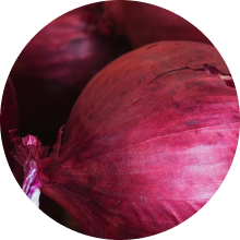 Quercetin - 500mg