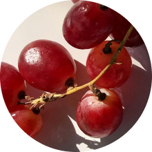 Trans-resveratrol - 500mg