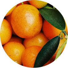 Vitamin C